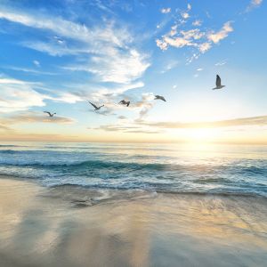 02068V_photo_3-23.jpg 02068V_photo_3-23.jpg