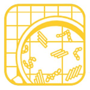 16019_photo_2-15.jpg 16019_photo_2-15.jpg