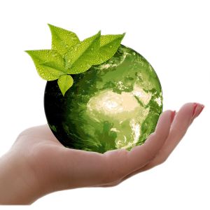 35120_photo_4-13.jpg 35120_photo_4-13.jpg